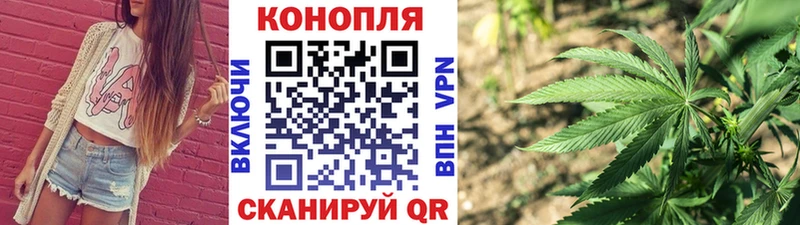 Бошки Шишки марихуана  Купить закладки  Родники 